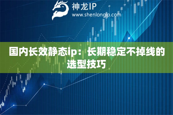 國內長效靜態ip：長期穩定不掉線的選型技巧
