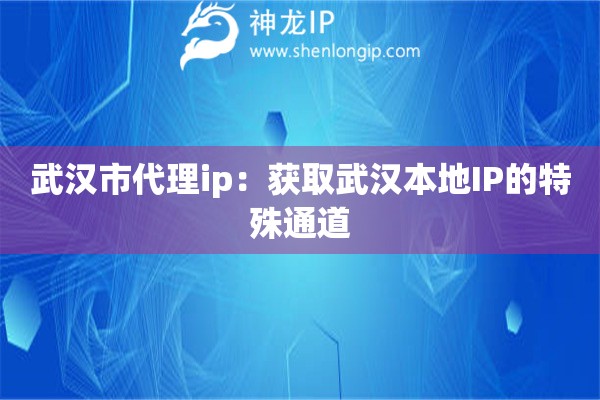 武漢市代理ip：獲取武漢本地IP的特殊通道