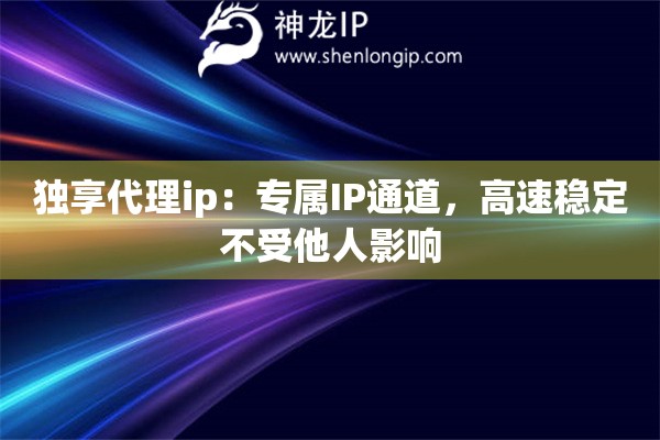 獨享代理ip：專屬IP通道，高速穩定不受他人影響