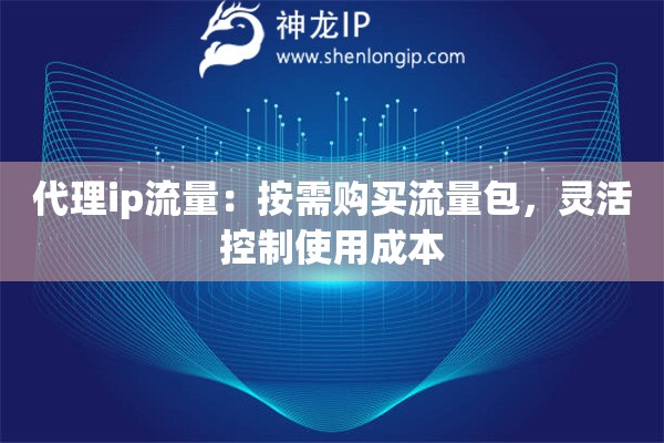 代理ip流量：按需購買流量包，靈活控制使用成本