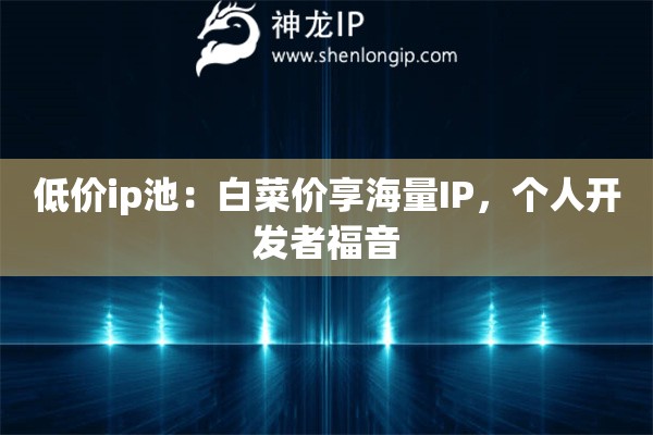 低價ip池：白菜價享海量IP，個人開發者福音