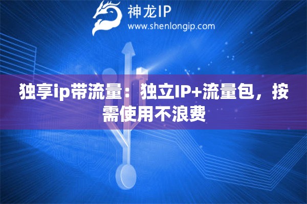 獨享ip帶流量：獨立IP+流量包，按需使用不浪費