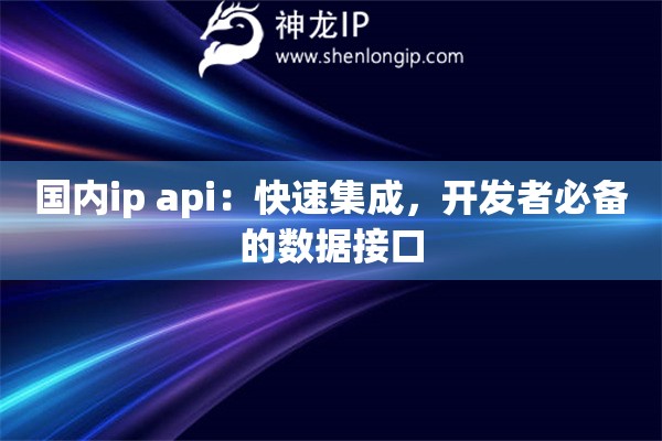 國內ip api：快速集成，開發者必備的數據接口