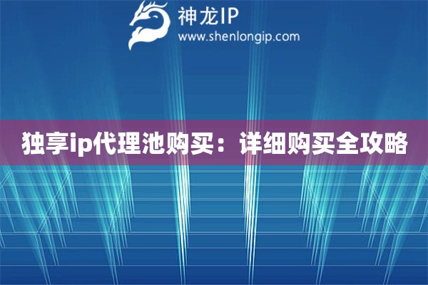 獨享ip代理池購買：詳細購買全攻略
