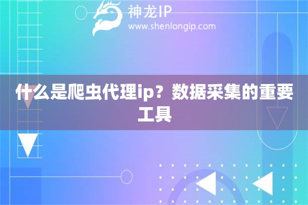 什么是爬蟲代理ip？數據采集的重要工具