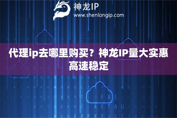 代理ip去哪里購買？神龍IP量大實惠高速穩定