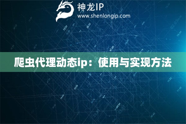 爬蟲代理動態(tài)ip：使用與實現(xiàn)方法