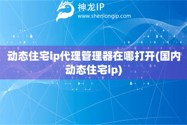 動態住宅ip代理管理器在哪打開(國內動態住宅ip)