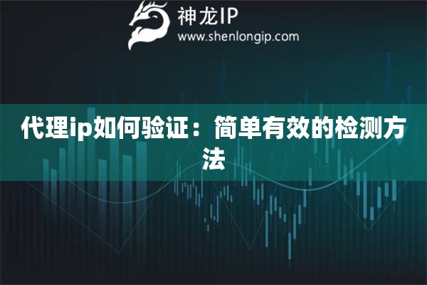 代理ip如何驗證：簡單有效的檢測方法